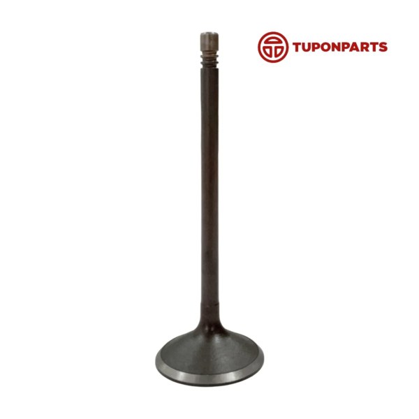 VALVULA DE ADMISION  CHEVROLET ORLANDO TUPONPARTS